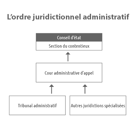 Exemples De Branches Judiciaires Exemples De Branches Judiciaires
